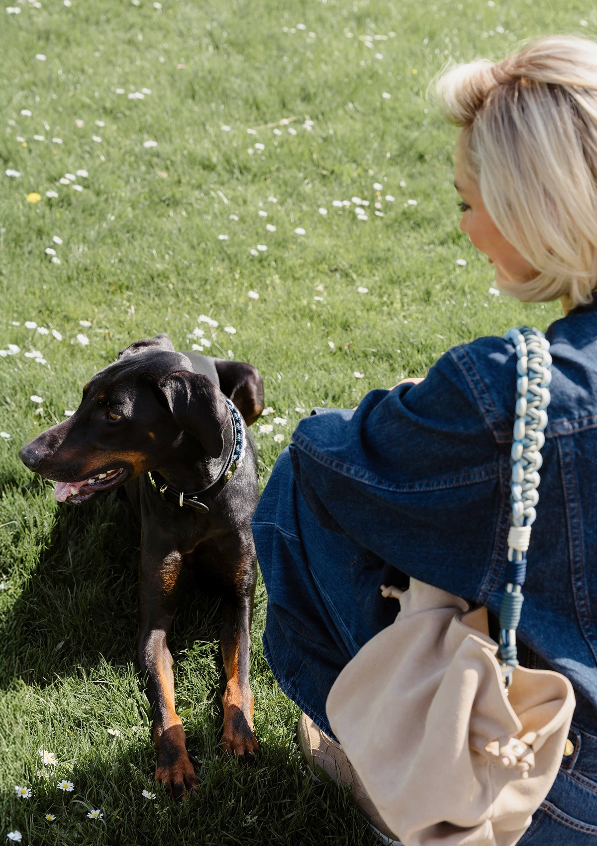 Produktabbildung auf neutralem Hintergrund des Produktes Dog Topping Nautic Vibes L in der Farbe Classic Dog Collar L in der Größe L