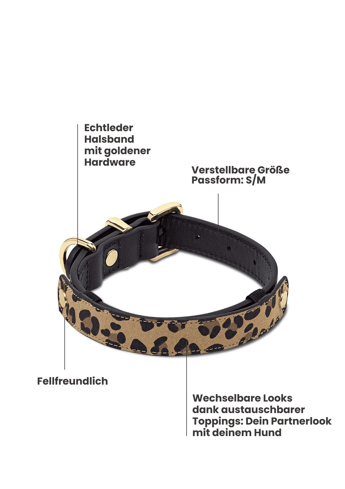 Produktabbildung auf neutralem Hintergrund des Produktes Dog Topping Nautic Vibes L in der Farbe Classic Dog Collar L in der Größe L