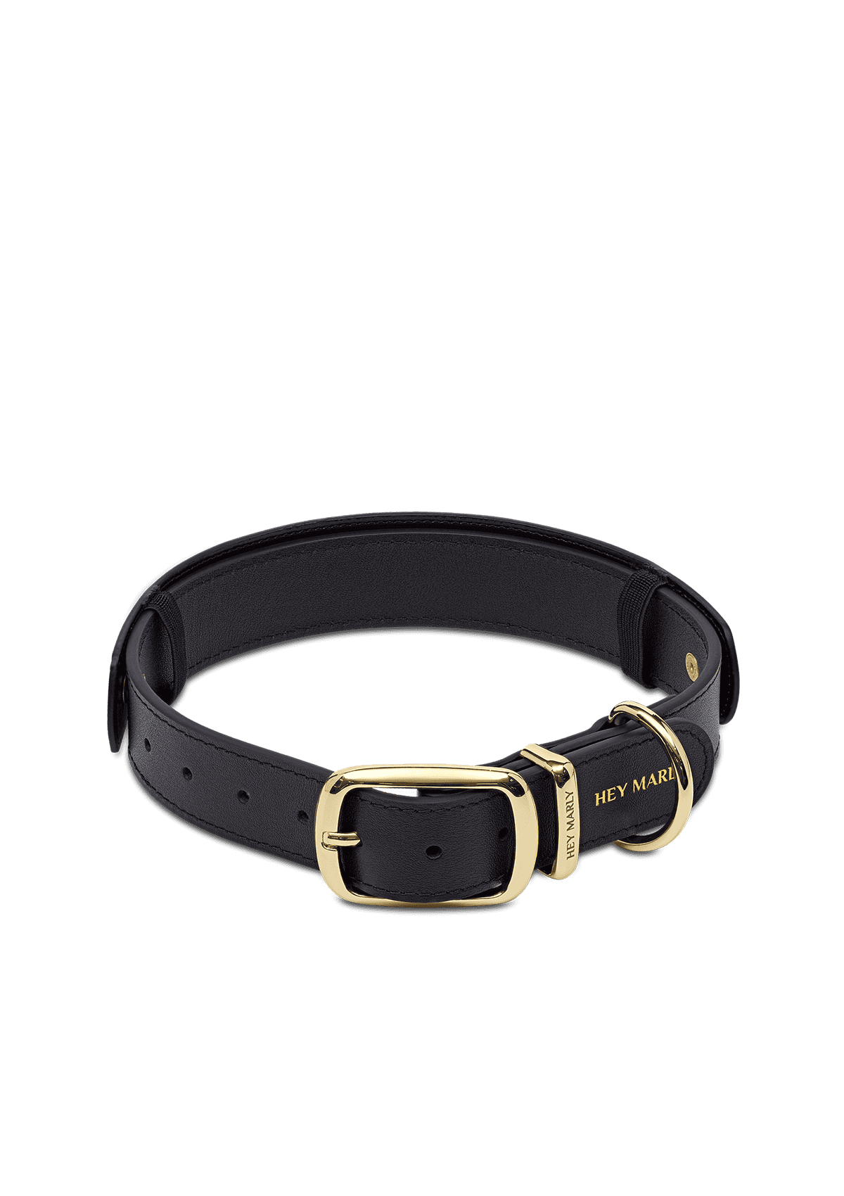Produktabbildung auf neutralem Hintergrund des Produktes Classic Dog Collar L in der Farbe Black in der Größe L