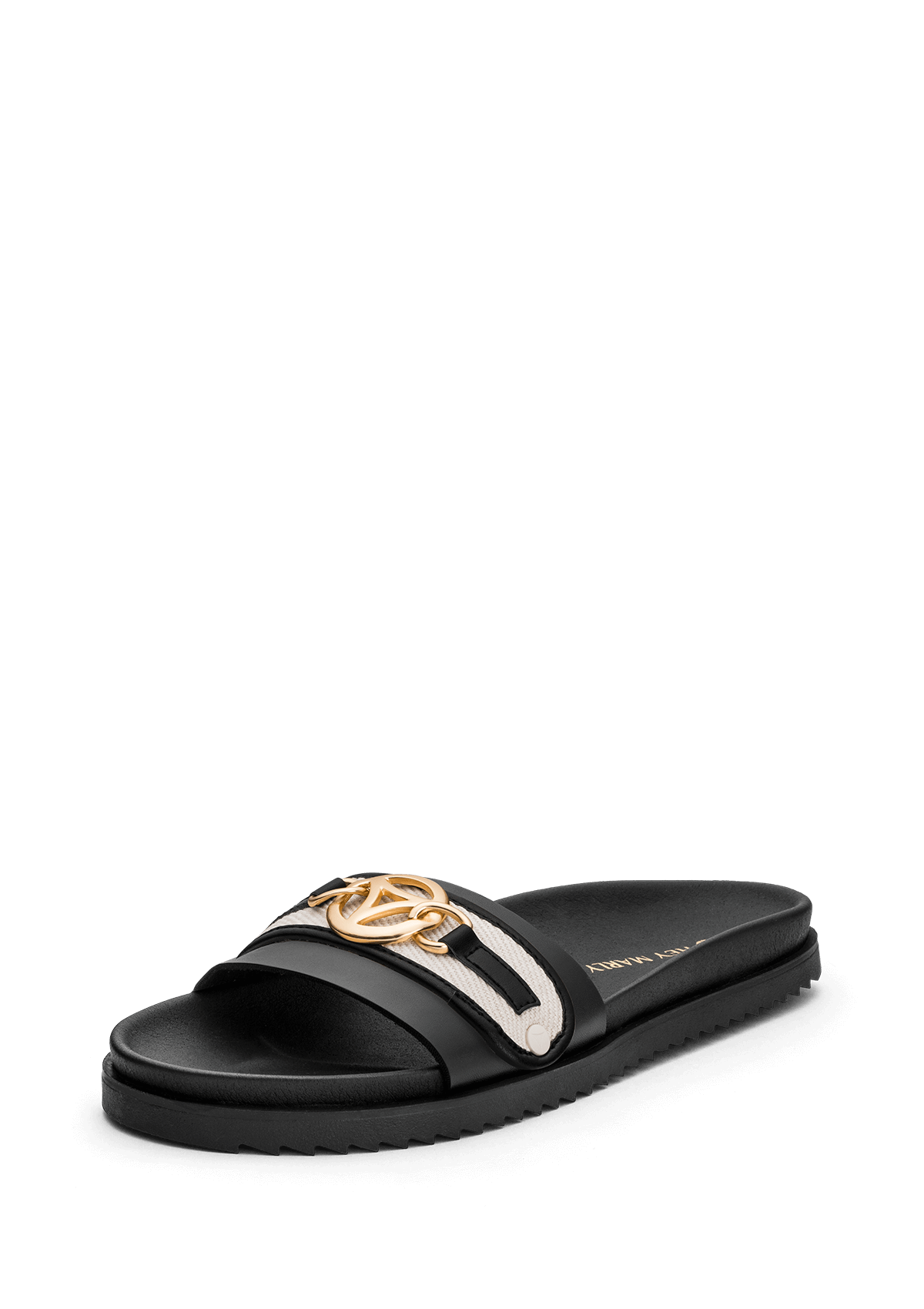 Golden Icon Canvas - Black-Cream